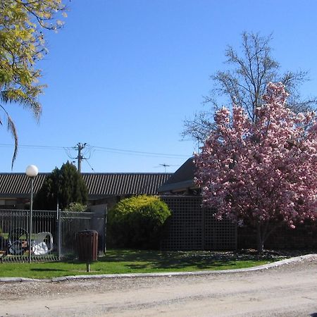 Belvoir Village Motel & Apartments וודונגה מראה חיצוני תמונה