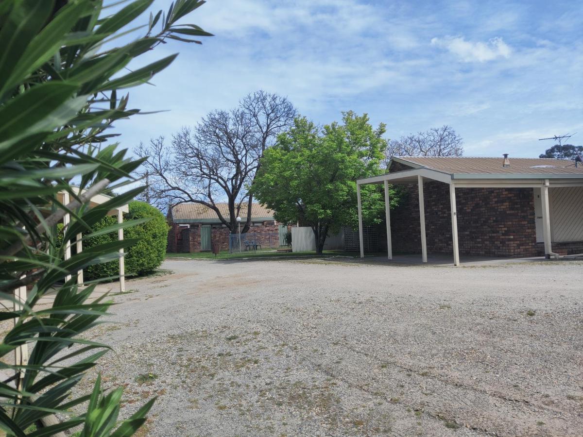 Belvoir Village Motel & Apartments וודונגה מראה חיצוני תמונה