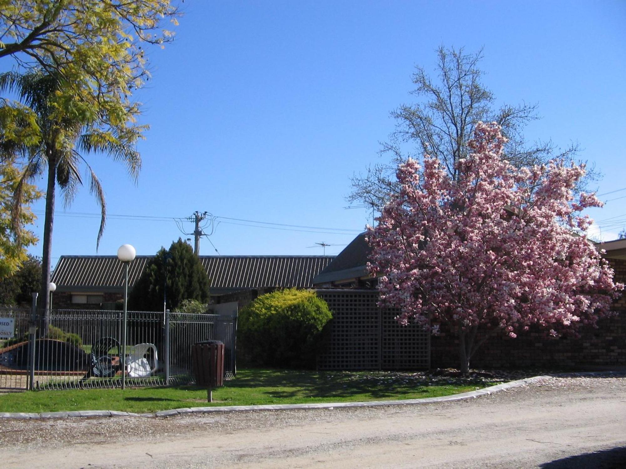 Belvoir Village Motel & Apartments וודונגה מראה חיצוני תמונה